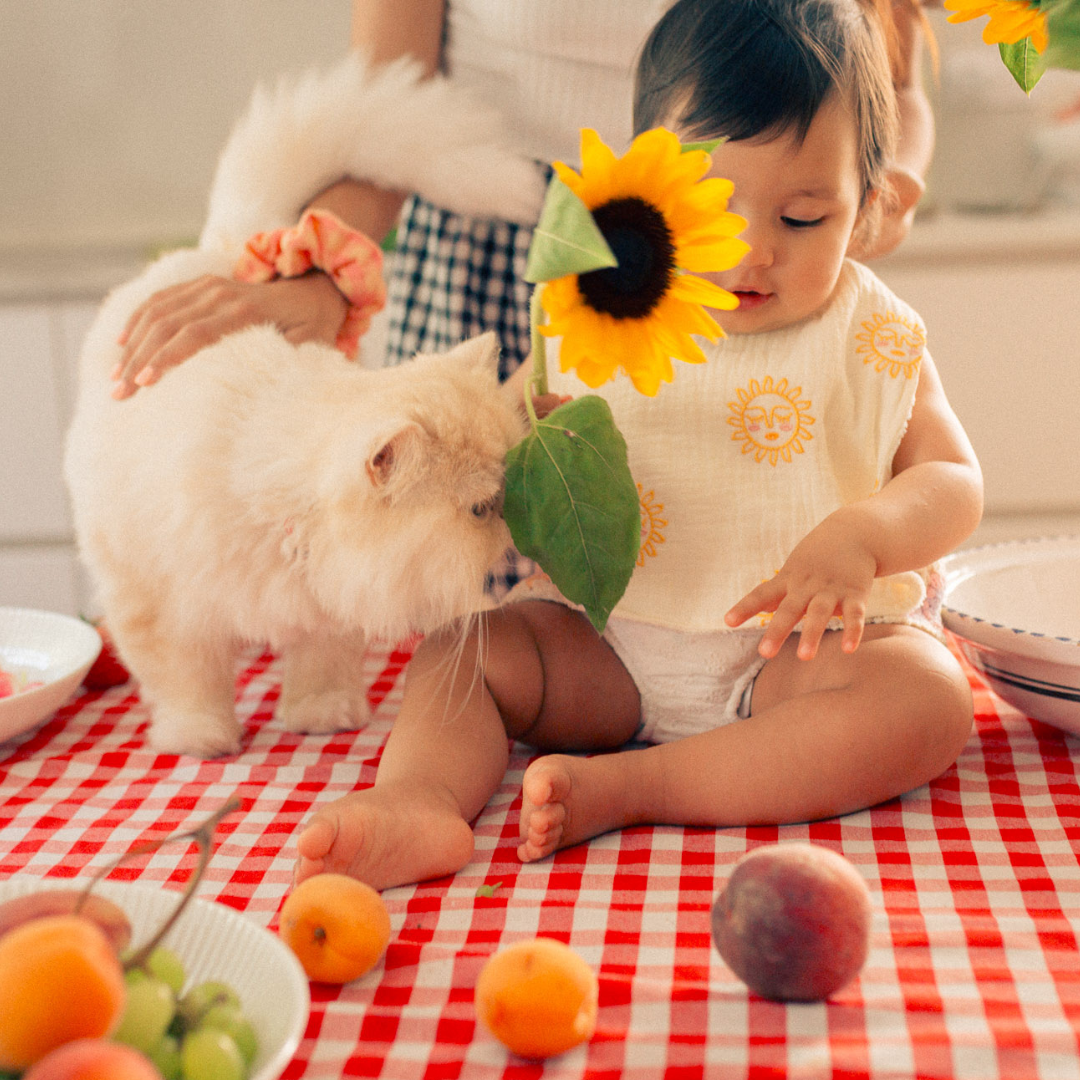 TRIO BAVOIR soleil pêche 🌞🍑