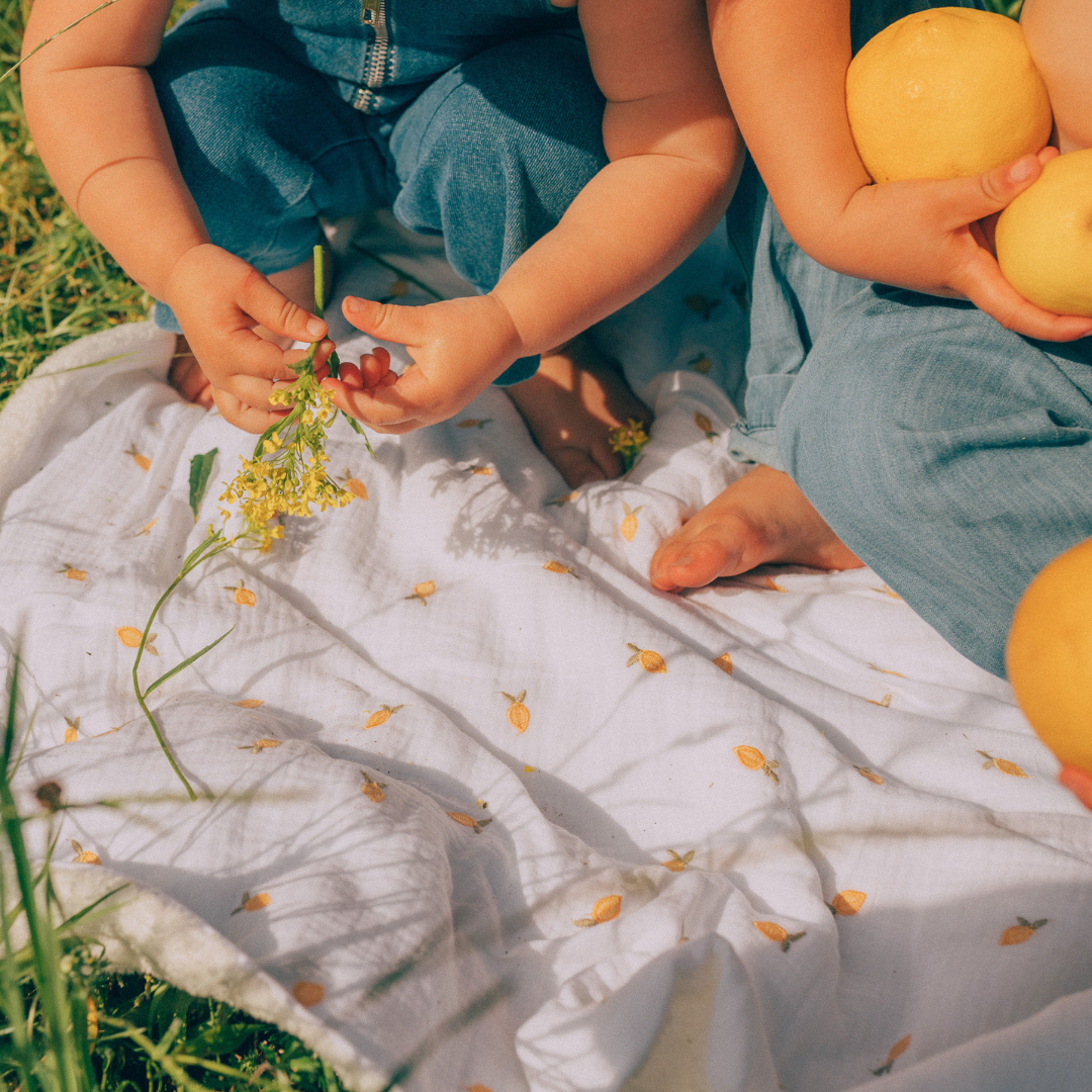 Couverture sherpa | Citronnade