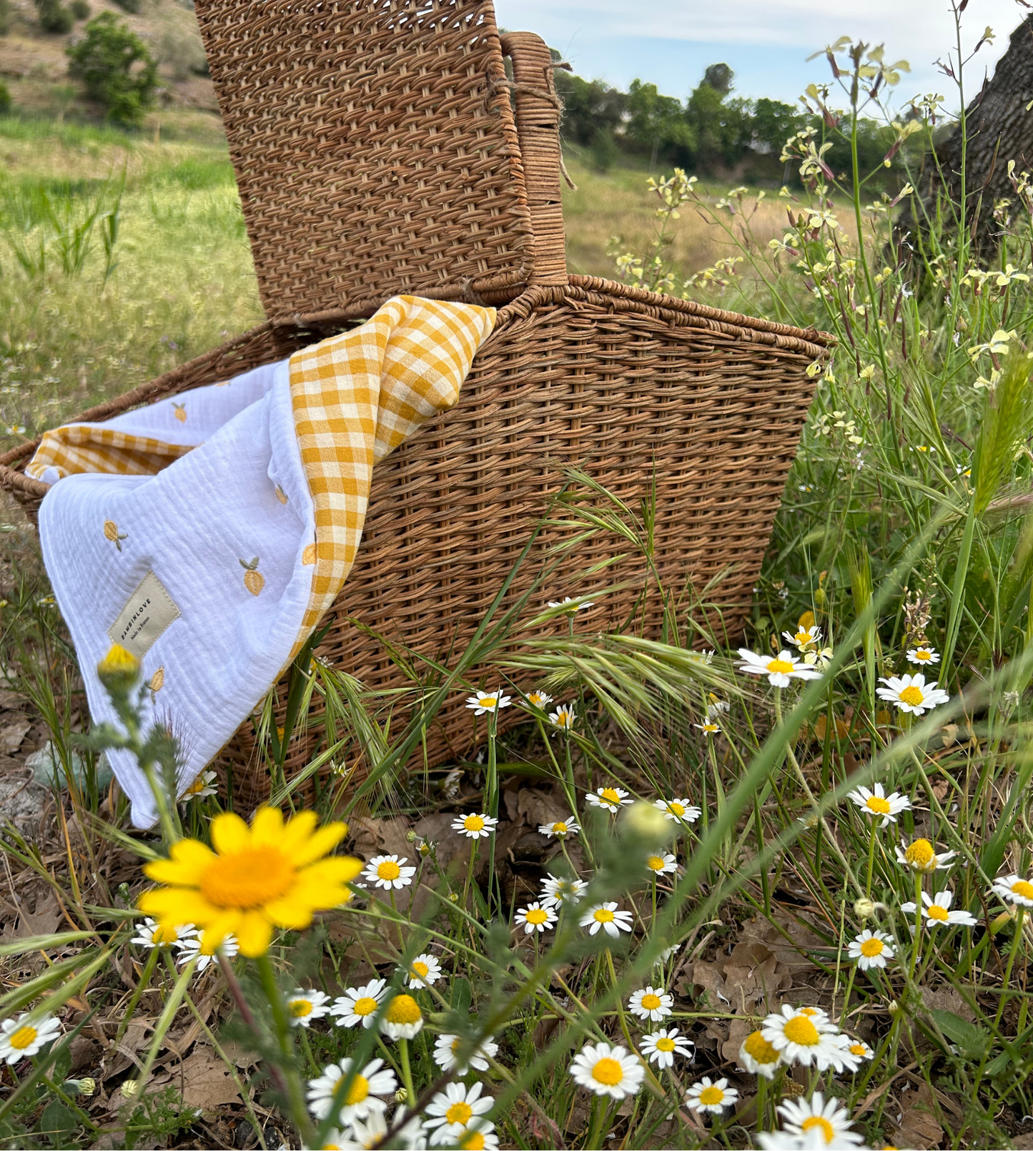 Couverture légére | Vichy Citronnade